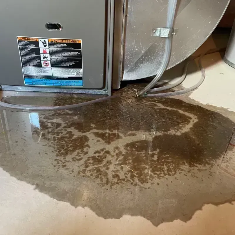 Appliance Leak Cleanup in Oakland, NJ